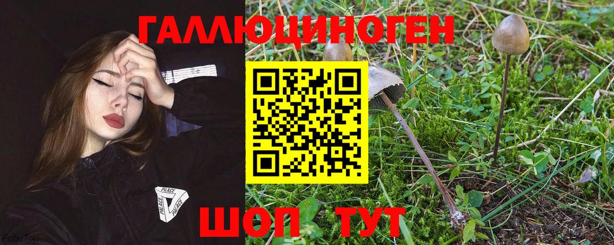 ТГК Салехард