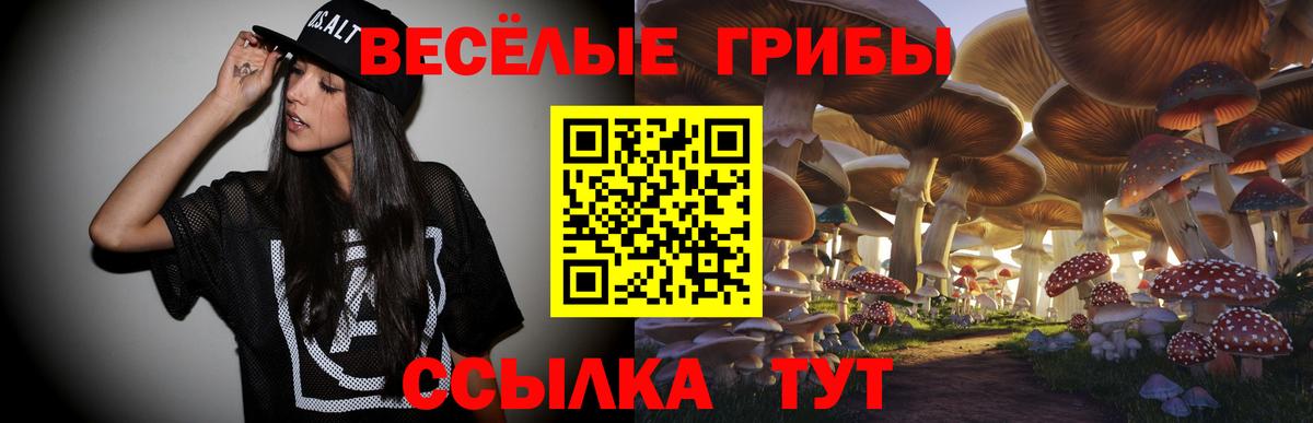 Салехард  Псилоцибиновые грибы прущие грибы  Вход с VPN 